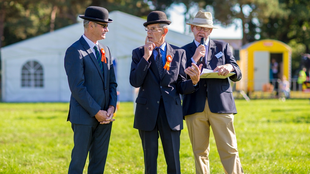 Lierop Fokpaardendag 2016 (84).jpg - Lierop Fokpaardendag 2016